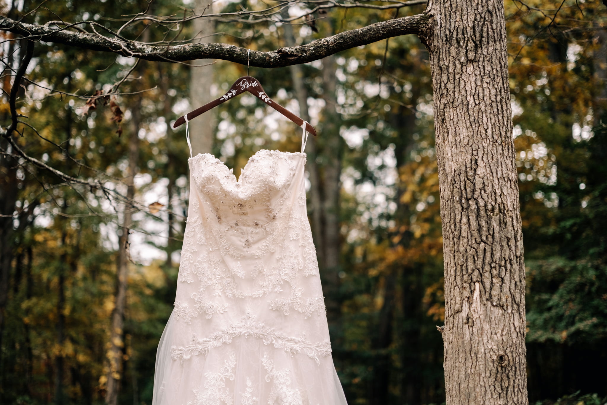 Wedding dress hangs from a tree at a Knoxville wedding venue